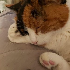 Meet your Posher, Teri